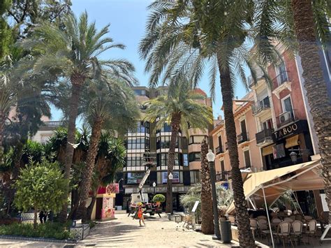 Una palmera se parte en dos y cae en mitad de las terrazas de la .